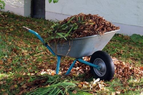 Laub entfernen in der Schubkarre