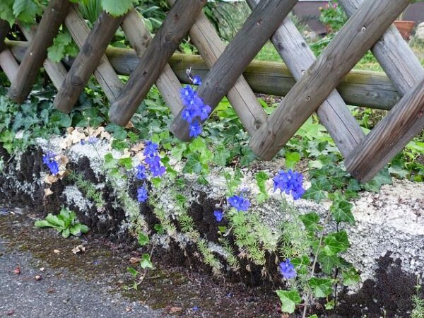 Gartenzaun und Gartentor benötigen Pflege