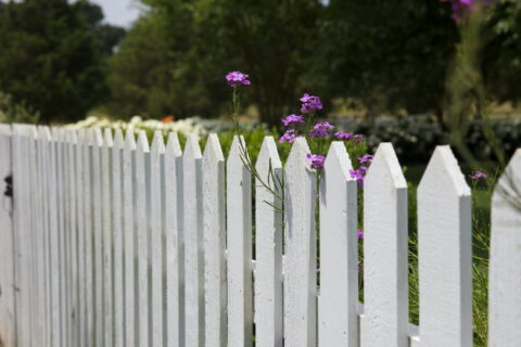 Weißer Holzzaun mit lila Blumen – Tipps, um den Gartenzaun zu pflegen