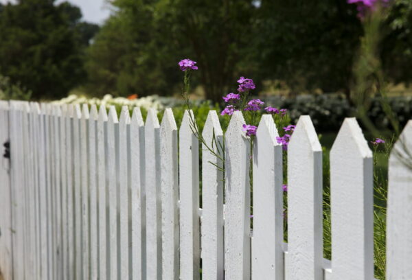 Gartenzaun pflegen – Weißer Holzzaun mit Blumen im Garten Weißer Holzzaun mit lila Blumen – Tipps, um den Gartenzaun zu pflegen