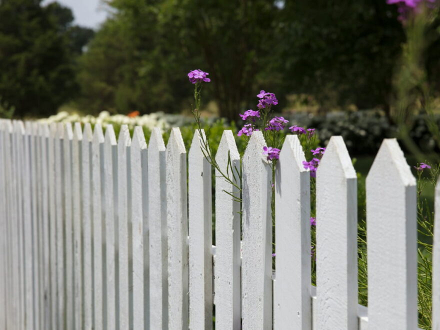 Weißer Holzzaun mit lila Blumen – Tipps, um den Gartenzaun zu pflegen