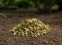 Gehäckseltes Pflanzenmaterial im Gartenboden als wertvolle Ressource