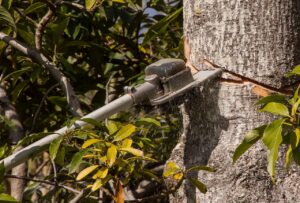 Hochentaster im Einsatz