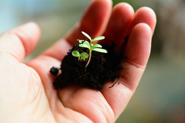 Start in die Gartensaison