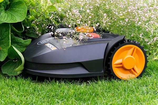 Mähroboter im Einsatz
