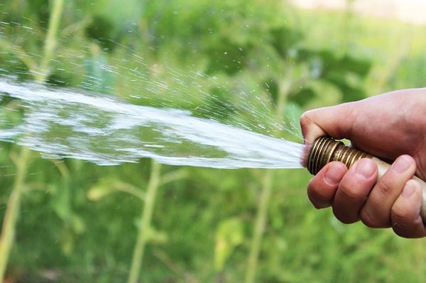 Rasen wässern - Wie viel Wasser benötigt der Rasen?
