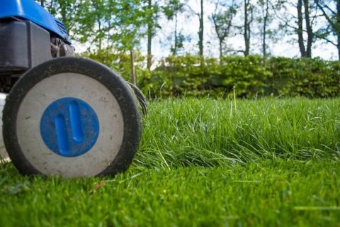 4 Tipps zur Rasenpflege