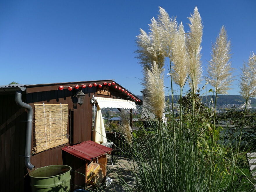 Regentonne kaufen für Gartenhaus