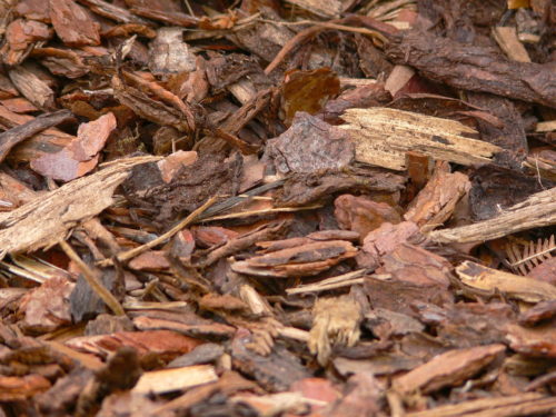 Rindenmulch im Garten Vorteile und Nachteile