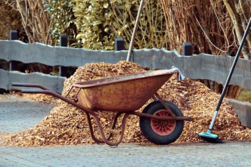 Rindenmulch kaufen und richtig anwenden