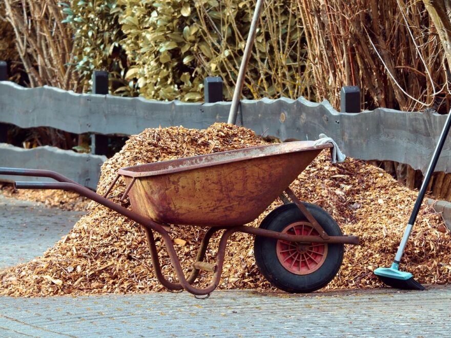 Rindenmulch kaufen und richtig anwenden