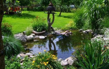 Kescher für den Gartenteich