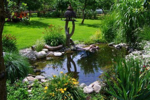 Kescher für den Gartenteich