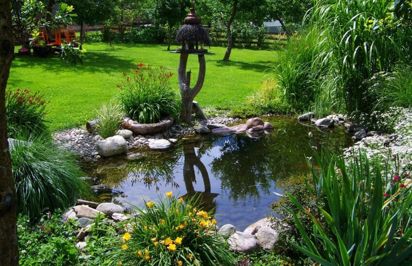 Kescher für den Gartenteich