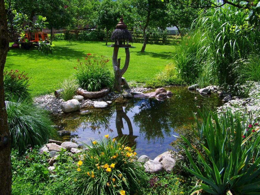Kescher für den Gartenteich