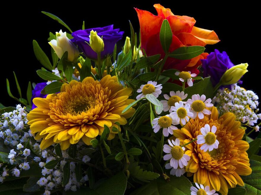 Blumen länger frisch halten