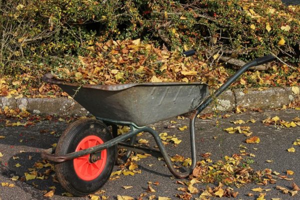 Schubkarre voll Laub