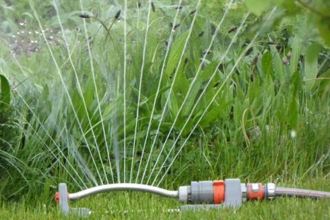 Bewässerungssysteme - die umweltfreundliche Art der Gartenpflege
