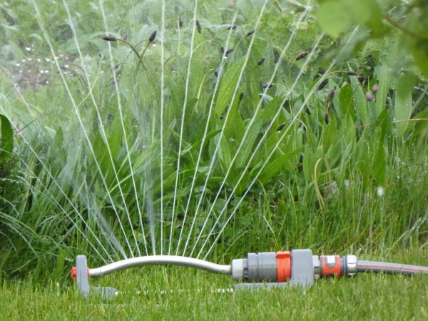 Bewässerungssysteme - die umweltfreundliche Art der Gartenpflege