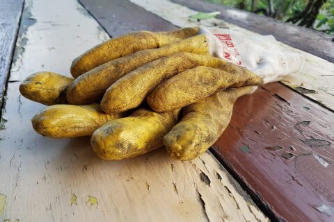 Gartenhandschuhe auf Tisch im Garten