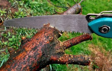 Handsäge als eine der Gartensägen