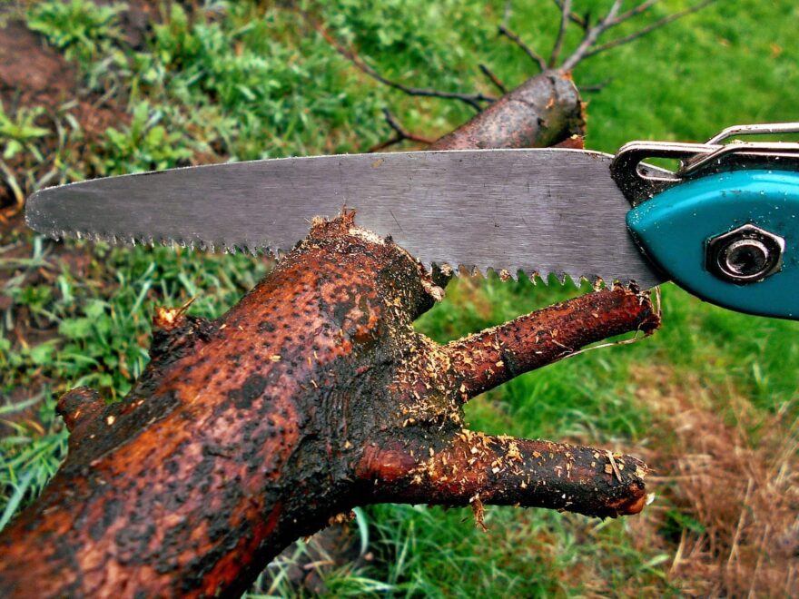 Handsäge als eine der Gartensägen