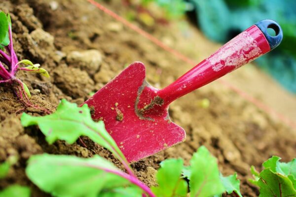 kleine rote Gartenschaufel