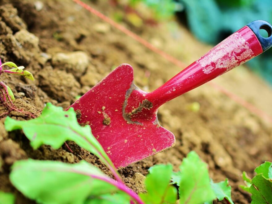 kleine rote Gartenschaufel