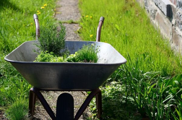 typische Gartenschubkarre typische Gartenschubkarre