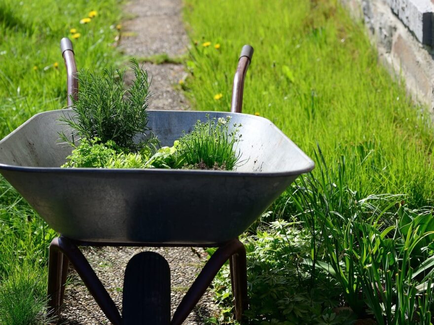 typische Gartenschubkarre