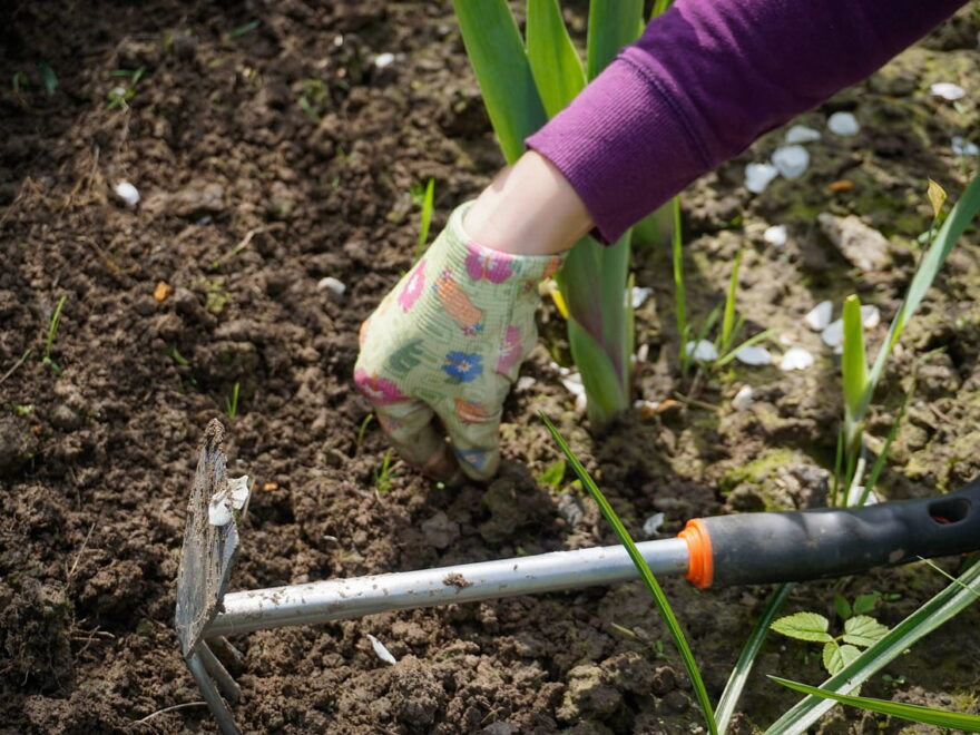 Unkraut entfernen mit Gartenkralle und anderen Gartengeräten