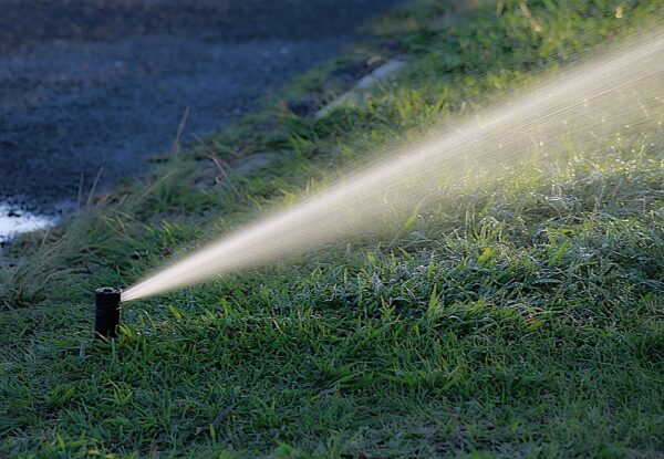 Wasser Bewässerung Garten