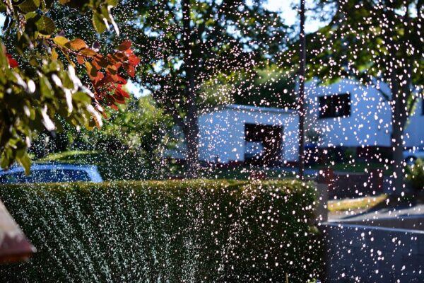 richtigen Menge an Wasser bei der Gartenbewässerung