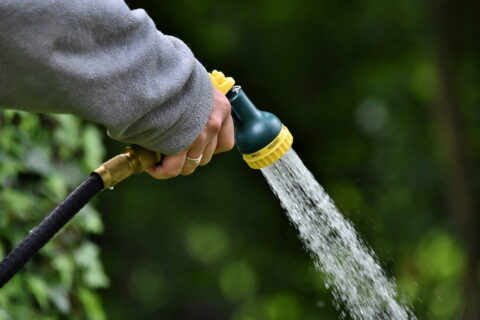 Welche Pumpe für deinen Garten