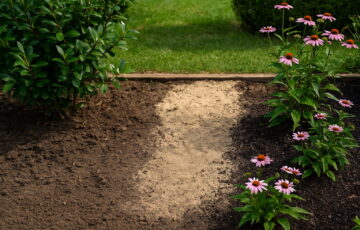 Unterschiedliche Pflanzen in Sonne und Halbschatten mit verschiedenen Bodentypen zur Verdeutlichung des variierenden Wasserbedarfs.