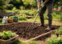 Gartenarbeiten im Frühling: Boden im Beet lockern und mit Kompost vorbereiten